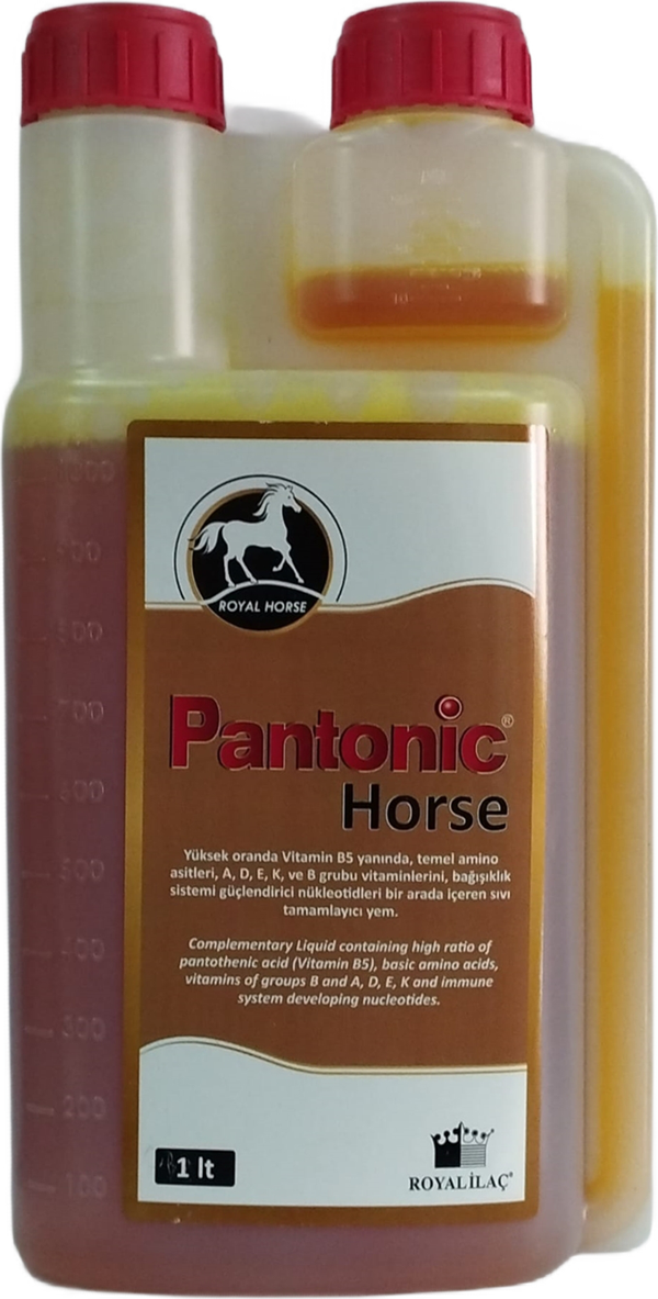 Royal Pantonic Horse 1 LT - Image 1