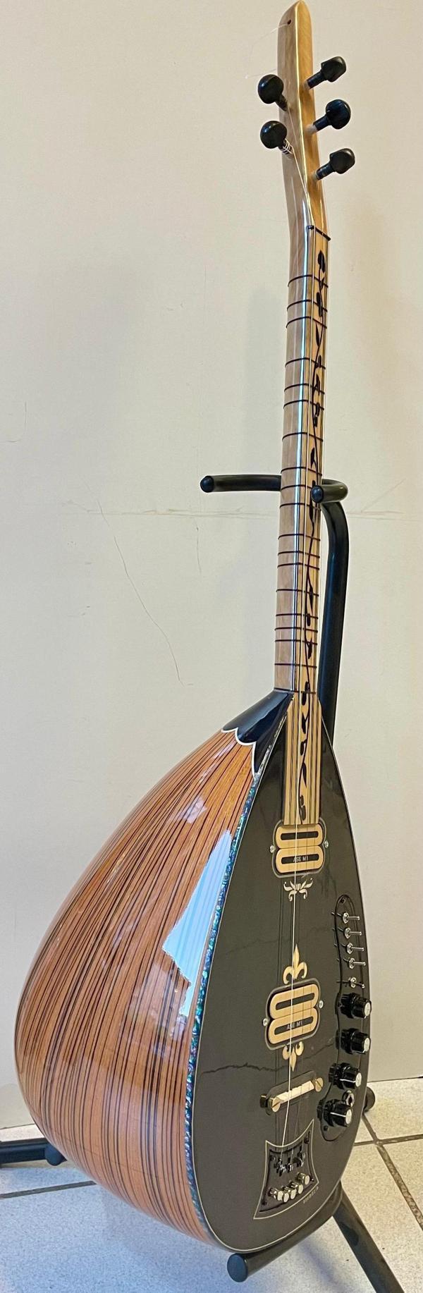 KISA SAP ELEKTRO BAĞLAMA (LESLİLİ) - Image 1
