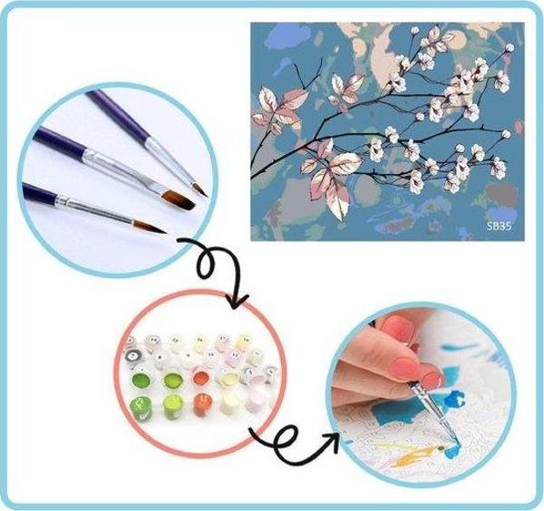 Plus Hobby Badem Çiçekleri Sayılarla Boyama Seti 40x50cm Tuval - Image 1