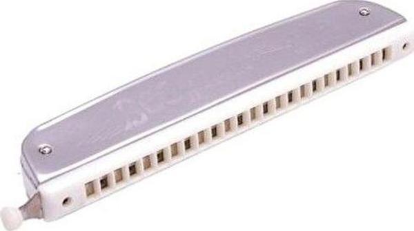 Bee DF1015 Harmonica / 24 Delikli Pompalı Mızıka - Image 1