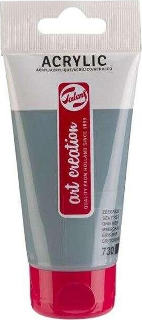 Talens Art Creation Akrilik Boya 75 ml Sea Grey 730 - Image 1