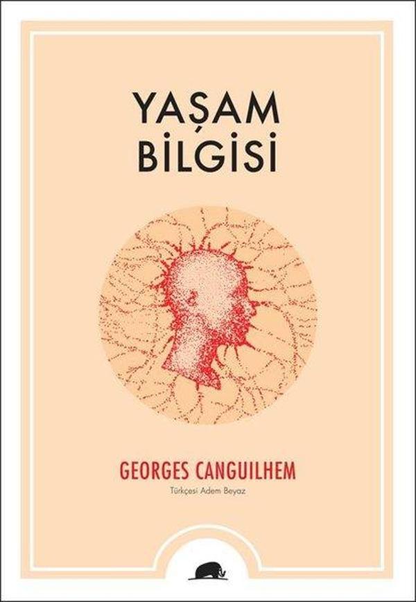 Yaşam Bilgisi - Kolektif Kitap - Image 1