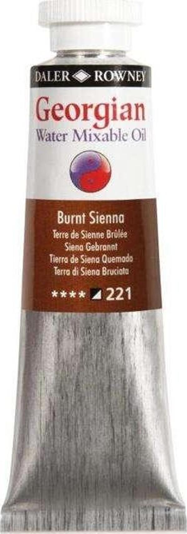 Daler Rowney Georgian Water Mixable Yağlı Boya 37 ml Burnt Sienna 221 - Image 1