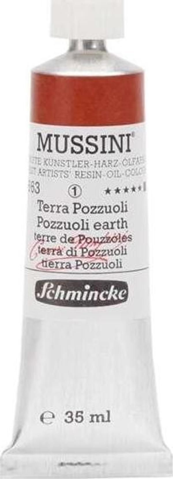 Schmincke Mussini Profesyonel Yağlı Boya 35 ml Seri 1 Pozzuoli Earth 663 - Image 1