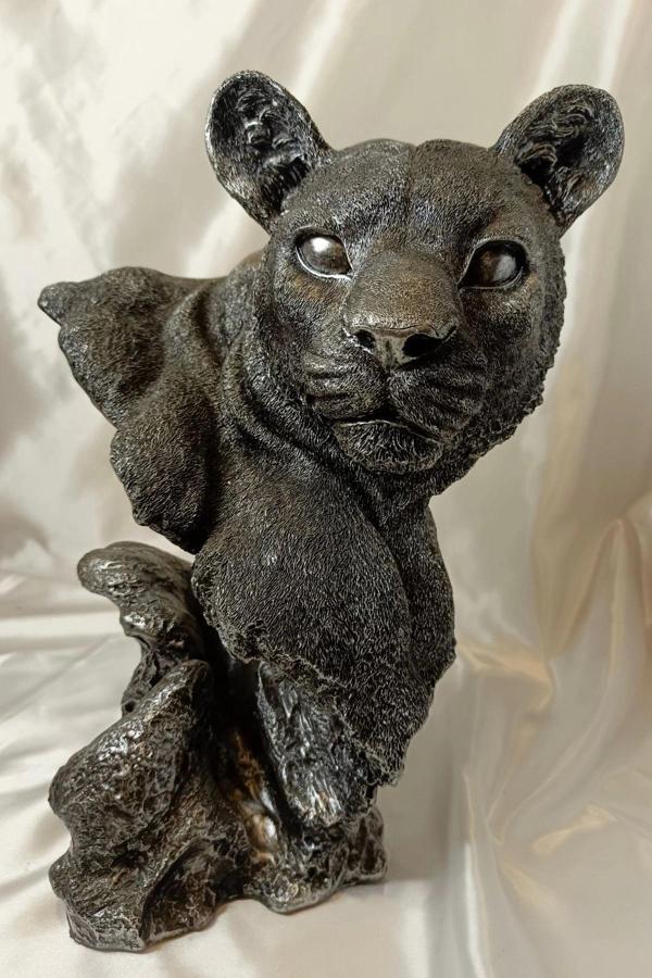 Aslan Kaplan Jaguar Biblo - Image 1