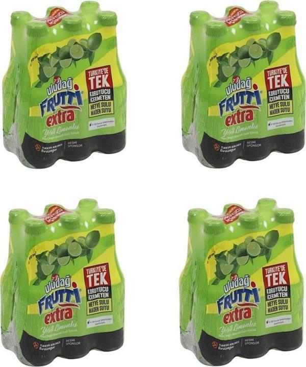 Uludağ Frutti Extra Yeşil Limonlu 250 Ml X 24 Adet - Image 1