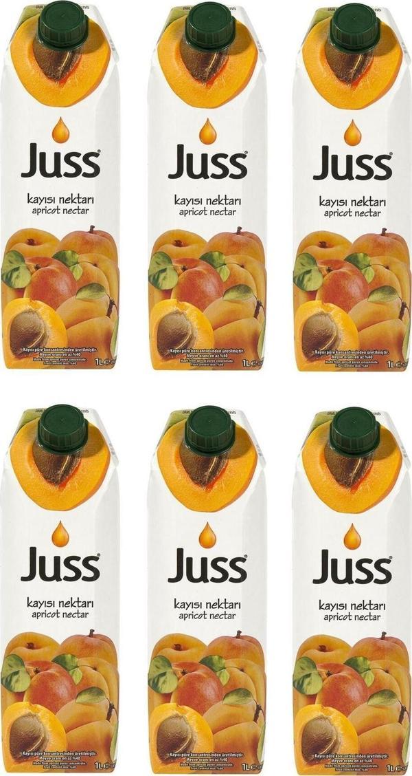 Juss Kayısı Nektarı 1 Lt X 6 Adet - Image 1