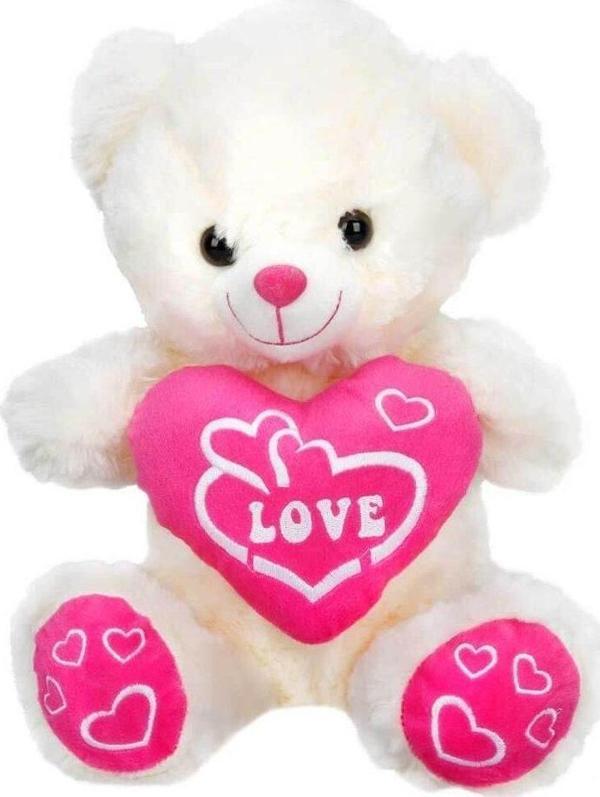 01000  Kalpli Peluş Ayı 30 cm - Image 1
