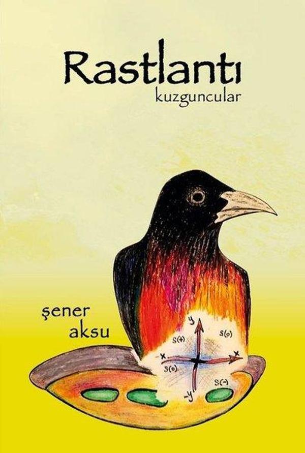 Rastlantı-Kuzguncular - Aydili Sanat Yayınları - Image 1
