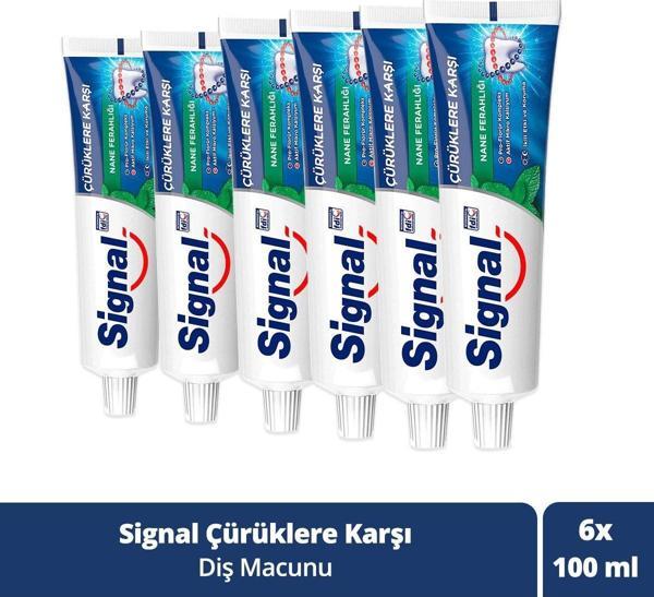 Signal Diş Macunu Çürüklere Karşı Nane Ferahlığı 100 Ml X6 - Image 1