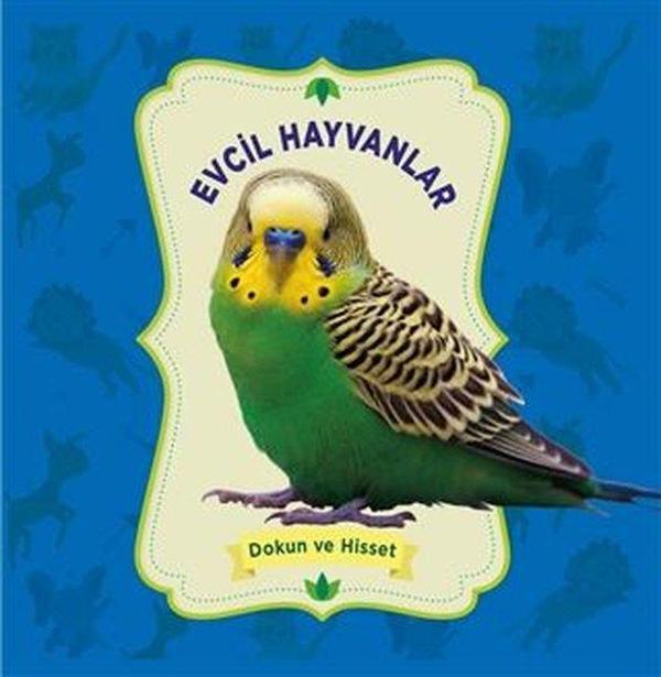 Evcil Hayvanlar - Dokun ve Hisset - 0-6 Yaş Yayınları - Image 1