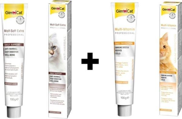 GimCat 100 gr Malt Soft Extra + 100 gr Multi Vitamin Kedi Macunu - Image 1