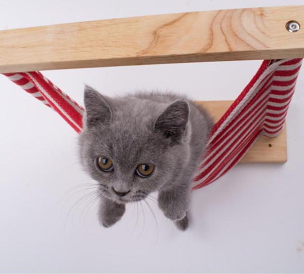 Kedi Yuvası Kedi Yatağı Kedi Duvar Yatağı Kedi Hamağı - Image 1