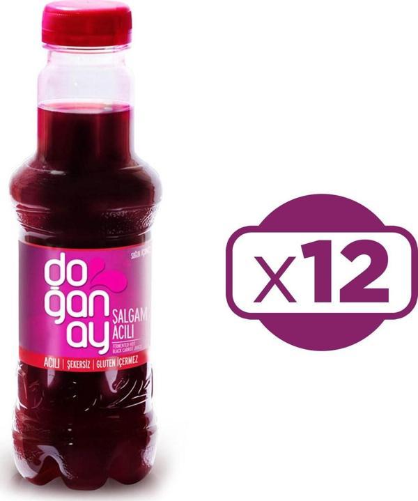 Doğanay Şalgam Suyu 300 ml Acılı x 12 Adet - Image 1