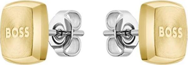 Boss Watches HBJ1580475 Erkek Küpe - Image 1