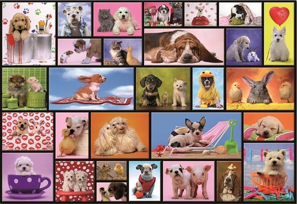 Educa 15518 Shared Moments 1000 Parça Puzzle - Image 1
