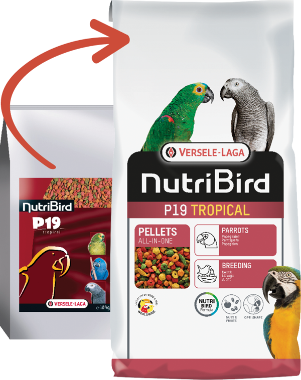 Versele Laga Nutrıbırd P19 Tropıcal Papağan Pelet Yem 10kg - Image 1