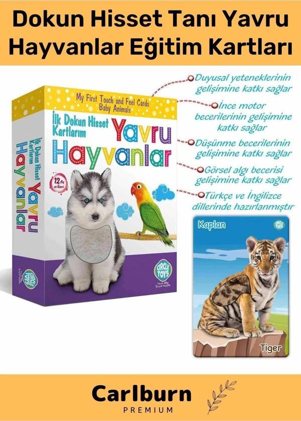 Özel Üretim Görsel Algı Eğlenceli Öğrenme Gelişim Dokun Hisset Tanı Yavru Hayvanlar Eğitim Kartları - Image 1