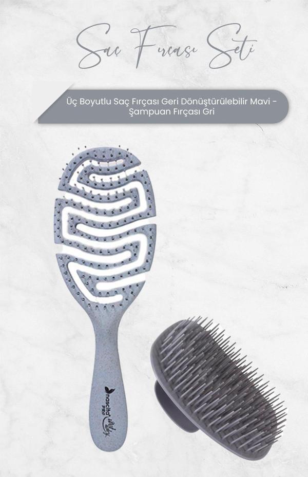 Nascita Üç Boyutlu Saç Fırçası Geri Dönüştürülebilir Mavi ve Şampuan Fırçası Gri - Image 1