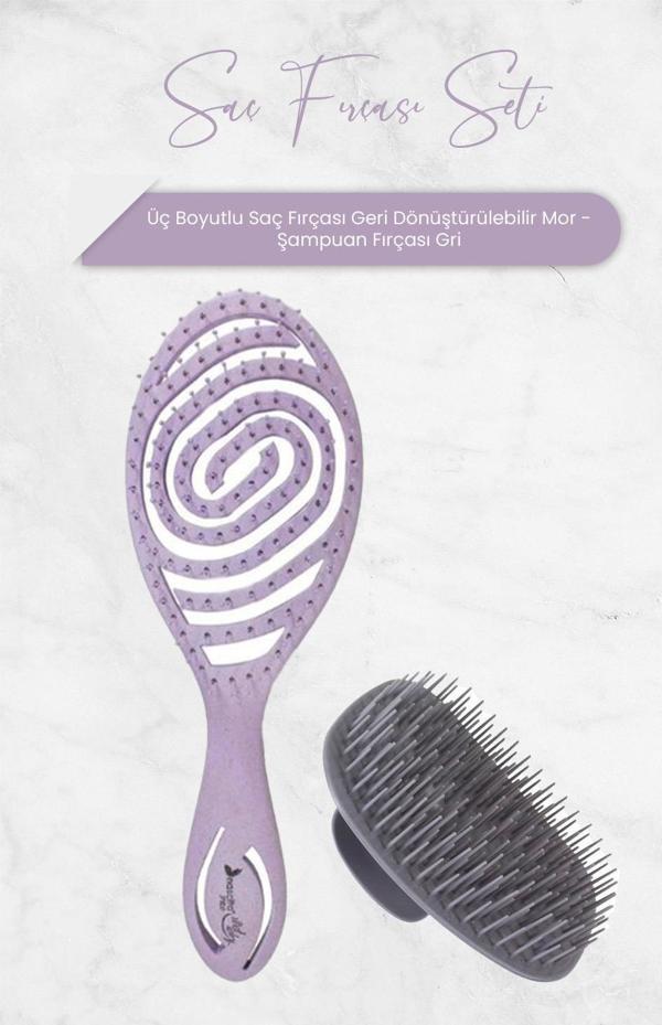 Nascita Üç Boyutlu Saç Fırçası Geri Dönüştürülebilir Mor ve Şampuan Fırçası Gri - Image 1