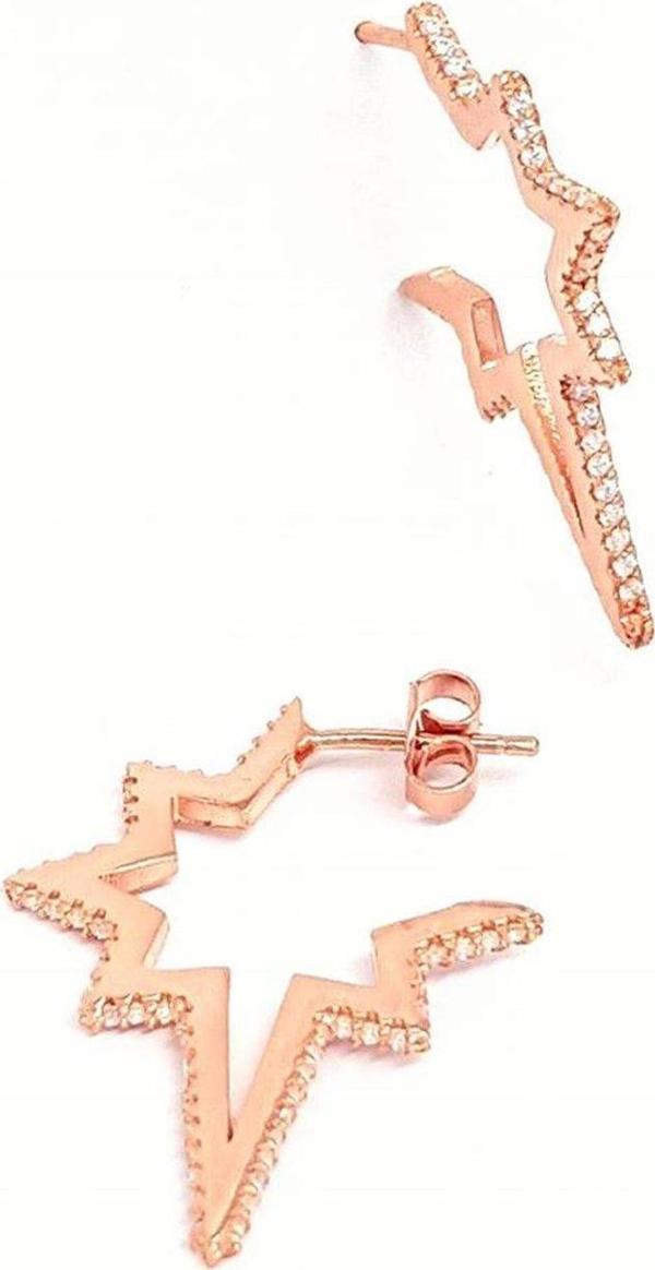 Kutup Yıldızı Figürlü Gümüş Rose Küpe - Image 1