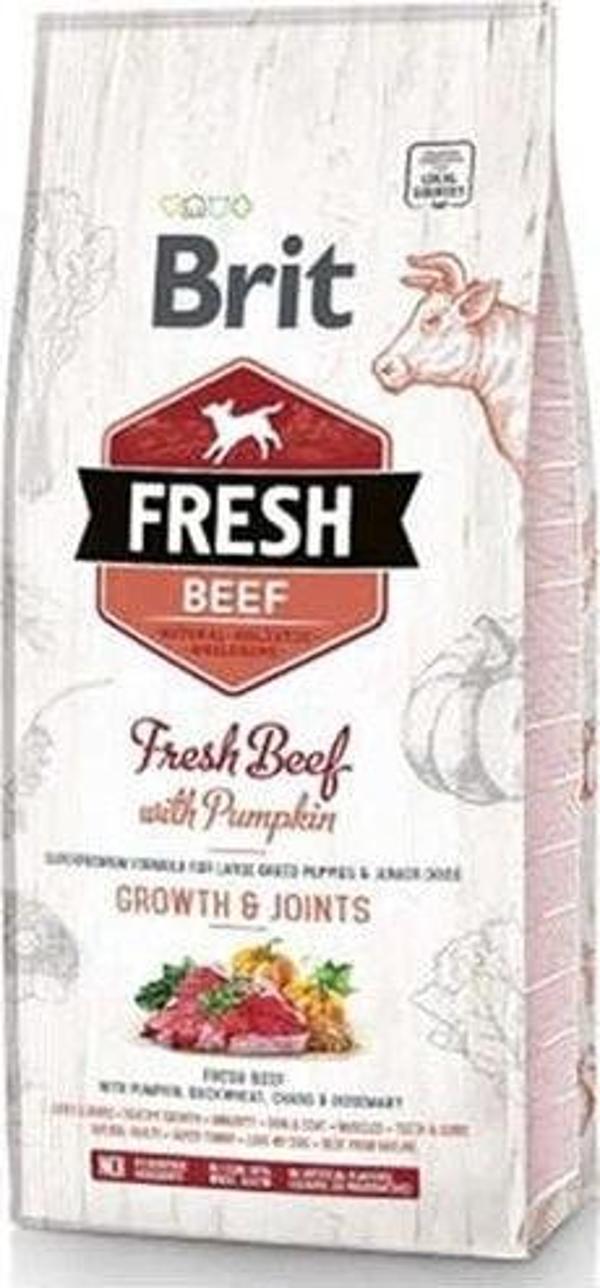 Brit Fresh Sığır Etli ve Balkabaklı Yavru Köpek Maması 12 Kg - Image 1
