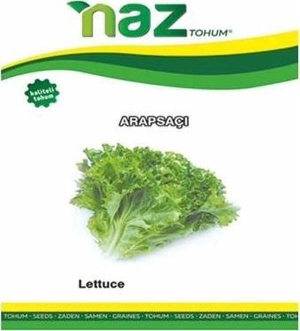 Naz Tohum Arapsaçı Marul Yazlık Kıvırcık 10 gr - Image 1