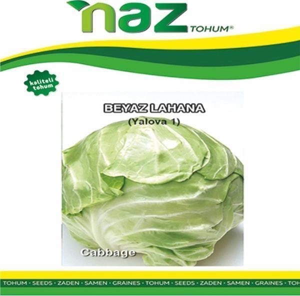 Naz Tohum Lahana Yalova 10 gr - Image 1