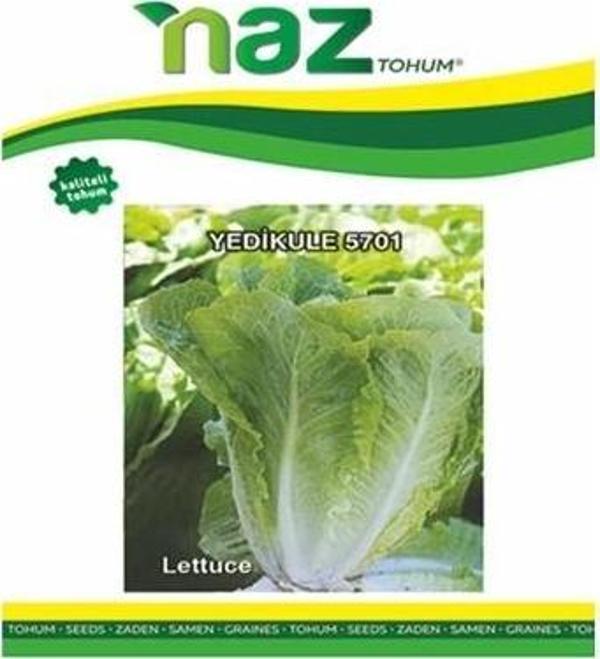 Naz Tohum Yedikule Marul 10 gr - Image 1