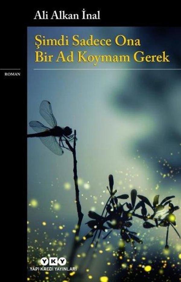 Şimdi Sadece Ona Bir Ad Koymam Gerek - Yapı Kredi Yayınları - Image 1