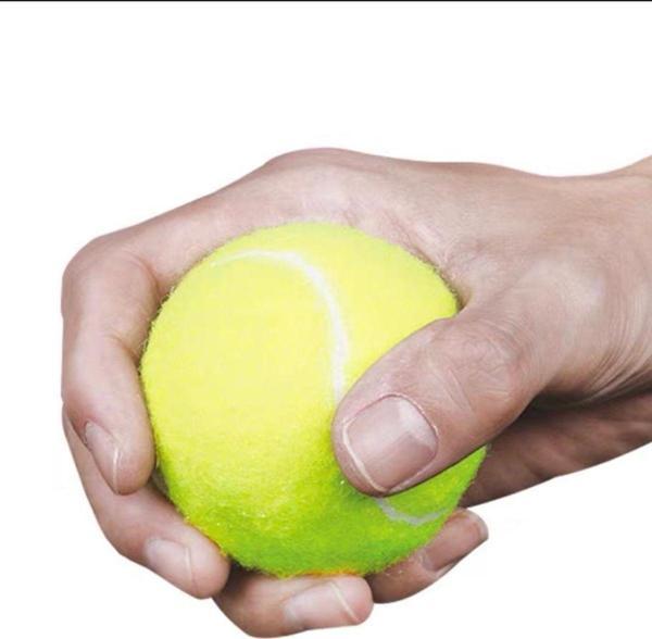 Leyaton 1 Adet Sarı Tenis Topu Antrenman Tenis Topu Tpw-001 - Image 1