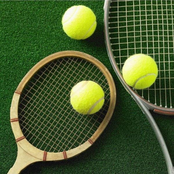 Leyaton 2 Adet Sarı Tenis Topu Antrenman Tenis Topu Tpw-002 - Image 1