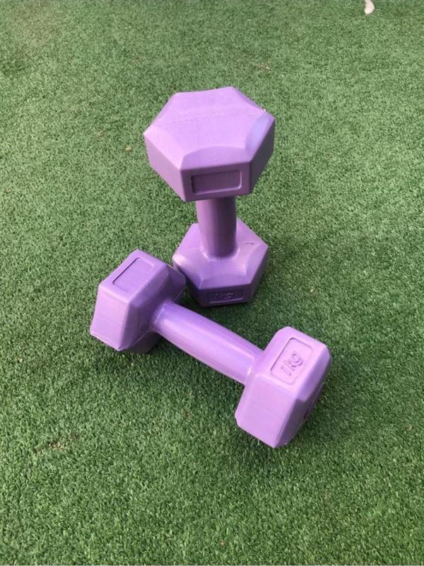Leyaton Leyayon 1 Kg X 2 Adet Dambıl Vinyl Kaplı Dumbell Ağırlık - Mor Renk - Image 1