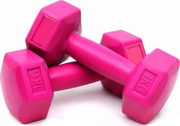 Leyaton Plastik Pembe Plastik Dambıl Seti 1 Kg 2 Adet Pembe Dambıl Seti 2 X 1 Kg - Image 1