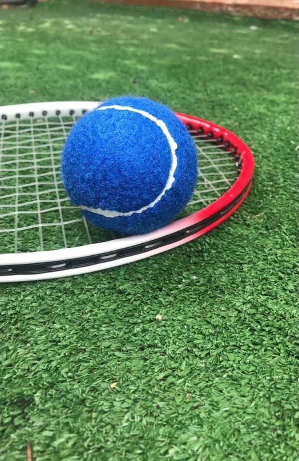 Werkon 1 Adet Antrenman Tenis Topu Mavi - Image 1