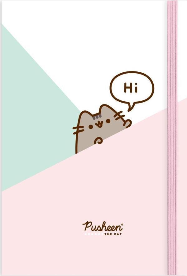 Pusheen A5 Çizgili Sert Kapak Ciltli Defter No: 3 80 Yp.  - Image 1