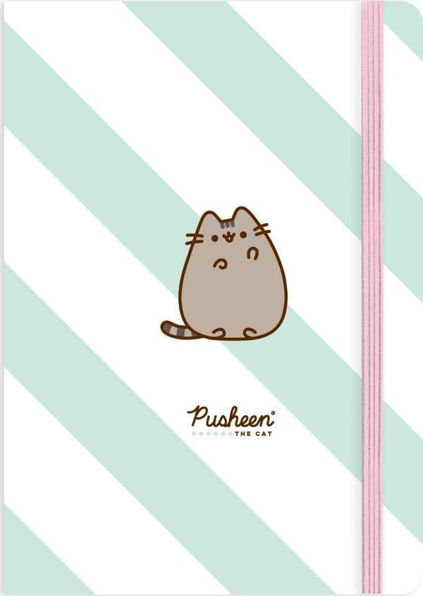 Pusheen A5 Çizgili Sert Kapak Ciltli Defter No:4 80 Yp.  - Image 1