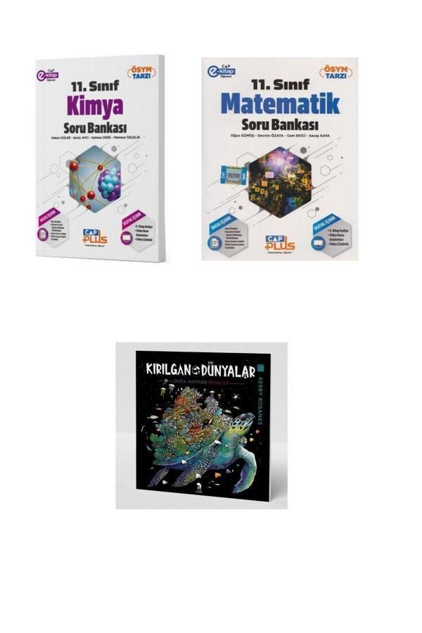 Çap Yayınları 2025 - 11. Sınıf Matematik - Kimya Soru Bankası - Kırılgan Dünyalar Hediyeli - Çap Yayınları - Image 1