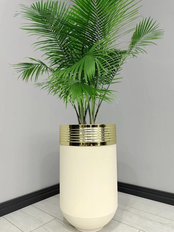ELEGANT Dekoratif Gold Darbuka Krem Saksı 60cm - Image 1