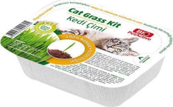 Bio Petacive Kedi Çimi  - Image 1