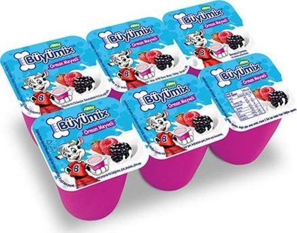 Sütaş Büyümix Orman Meyveli 6x40 g - Image 1