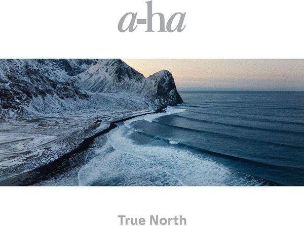Rca Local A-Ha True North Plak - Image 1