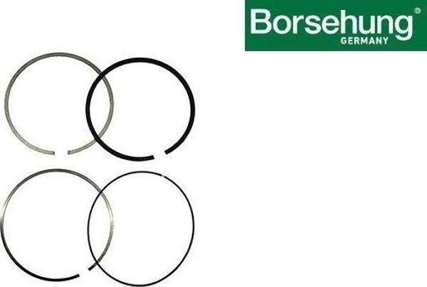 03F198151 Motor Segman Std 71.01 Mm 1 Piston İçin -1.2 Lt.-Tsı-Cbza-Cbzb-Cbzc-Cjza-Cjzb-Cjzc-Cyva - Image 1