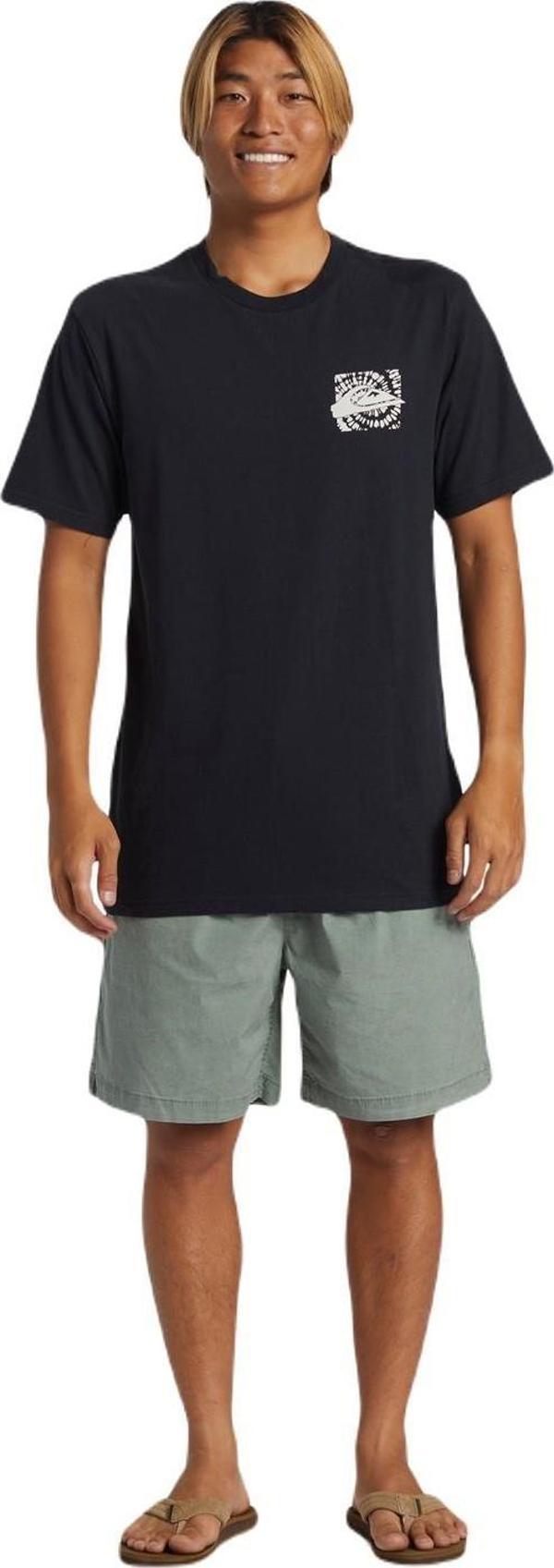Quiksilver AQYZT09540 Hurricane Or Hippie Moe Erkek Tişört - Image 1