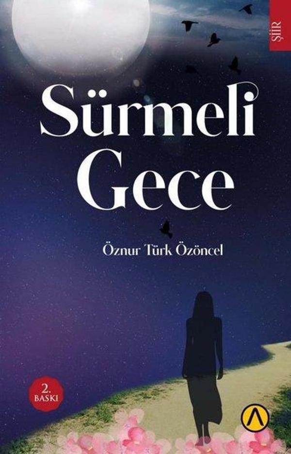 Sürmeli Gece - Ares Kitap - Image 1