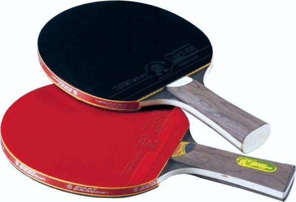 Giant Dragon P40+Masa Tenisi Raketi ITTF Onaylı - Image 1