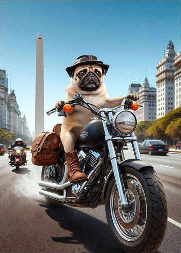 Ekart Chopper Motor Süren Köpek Model Mdf tablo 35 cm x 50 cm - Image 1