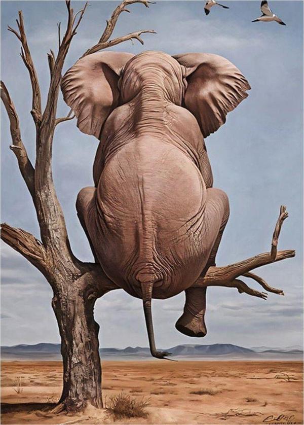 Ekart Ağaçta Oturan Fil Model Mdf tablo 25 cm x 35 cm - Image 1