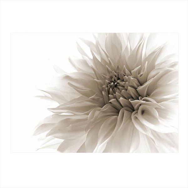 Ekart Beyaz Çiçek Modern Mdf Tablo 50 cm x 70 cm - Image 1