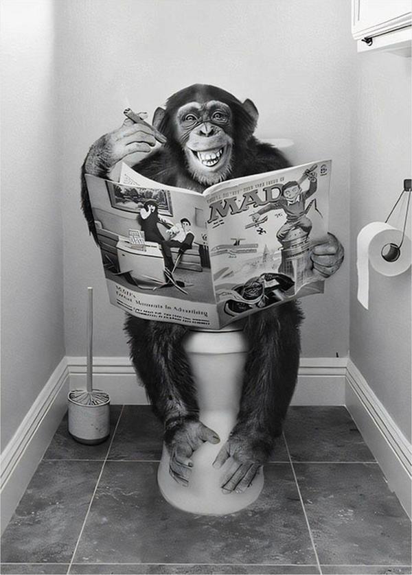 Ekart Tuvaletteki Maymun Desenli Ahşap Tablo 35 cm x 50 cm - Image 1